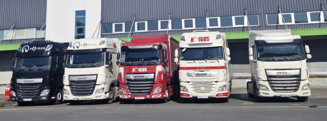 Flotte de tracteurs routiers DAF alignés devant un quai logistique